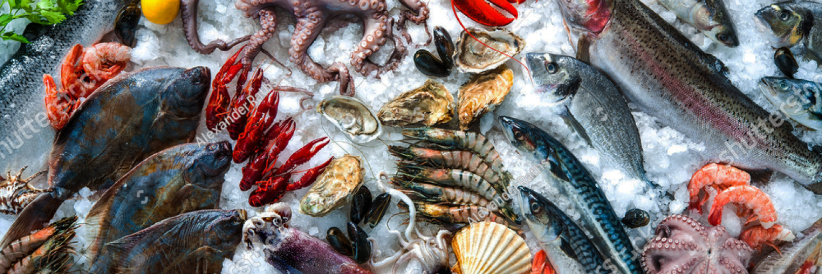 Slider Togettocook 07